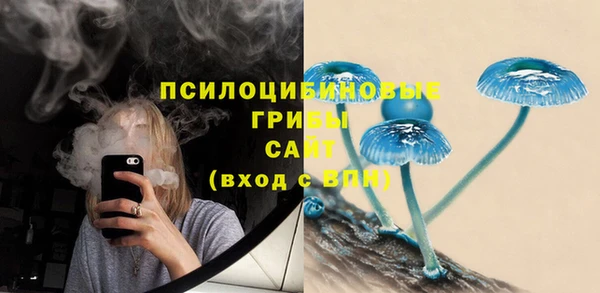 ГАЛЛЮЦИНОГЕННЫЕ ГРИБЫ Карпинск