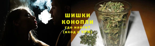 ГАЛЛЮЦИНОГЕННЫЕ ГРИБЫ Карпинск