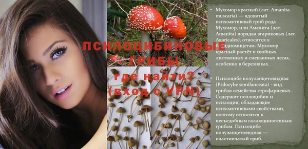 ГАЛЛЮЦИНОГЕННЫЕ ГРИБЫ Карпинск