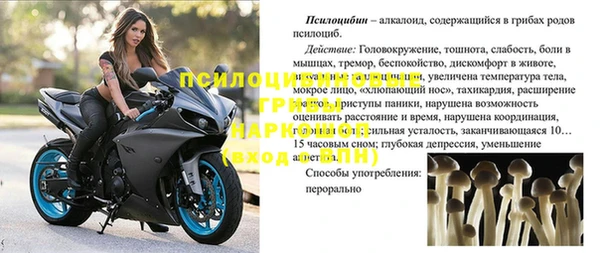 трава Касимов
