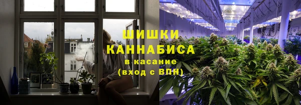 ГАЛЛЮЦИНОГЕННЫЕ ГРИБЫ Карпинск