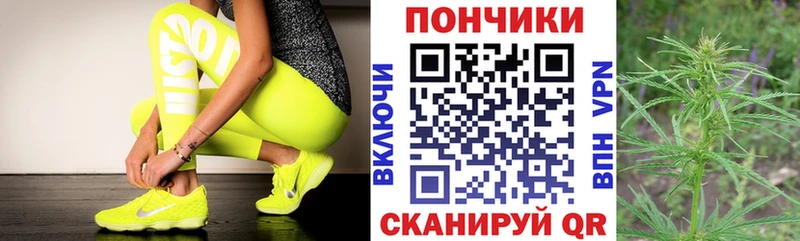Бошки Шишки план  Купить где  Тюмень 